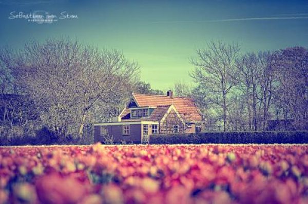 Hotel Bungalow Callantsoog in 't Zand