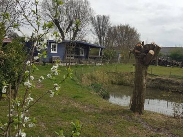 Hotel De Weide Blick in Biggekerke