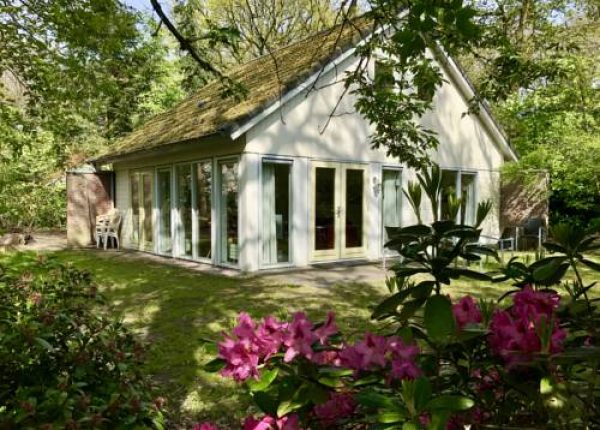 Hotel Vakantiewoning Tjiftjaf in "Het Fonteinbos" in Oudemirdum