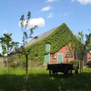 Hotel 't Zwaluwennest in Exloo Drenthe