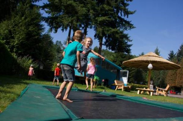 Camping Het Vossenhol in Ermelo