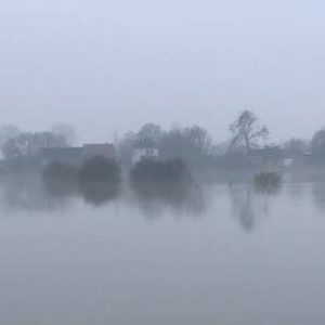 Unique place on the river Waal in Heerewaarden