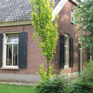 B&B Huis van de Zon in Aalten