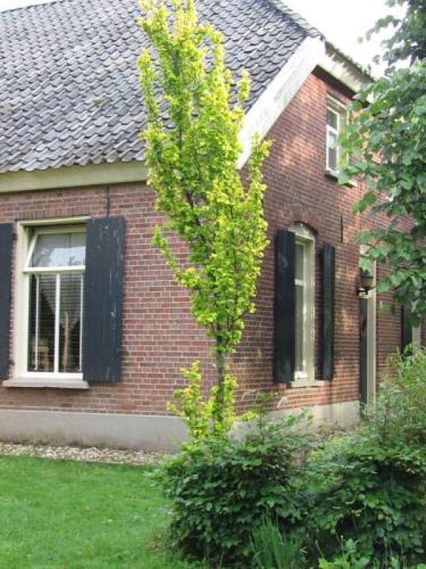 B&B Huis van de Zon in Aalten