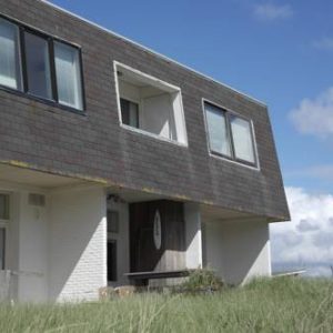 Butterfly in Bergen aan Zee