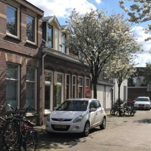 Cozy Home Flower Fountain in Haarlem