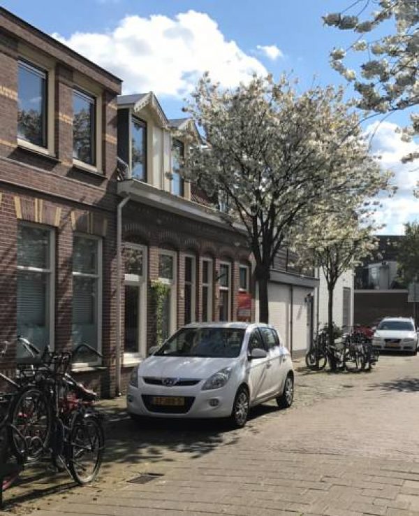 Cozy Home Flower Fountain in Haarlem