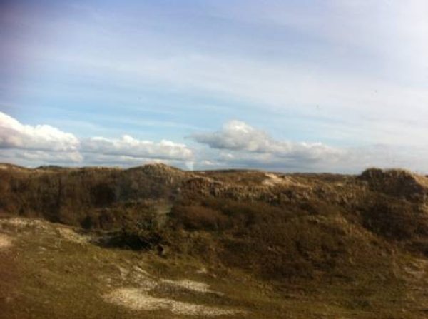 Sachs Hoyz in Bergen aan Zee