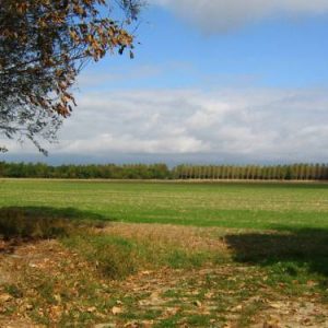 Holiday home Aan de Vijver in Veerse Meer-Kamperland