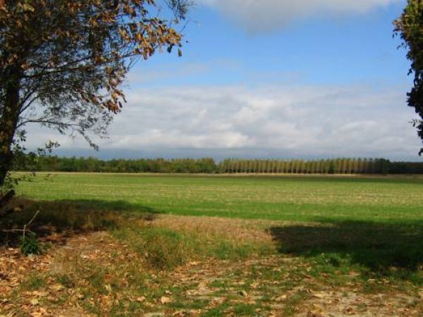 Holiday home Aan de Vijver in Veerse Meer-Kamperland