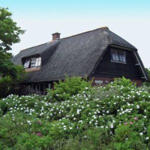 Holiday home In t Duin II in Vlieland
