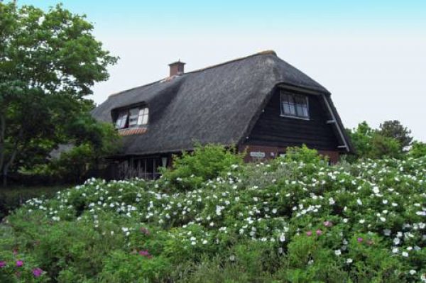 Holiday home In t Duin II in Vlieland