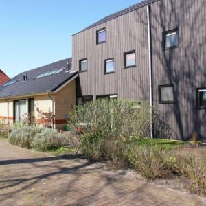 Holiday home Lyts Syspenstien II in Langweer