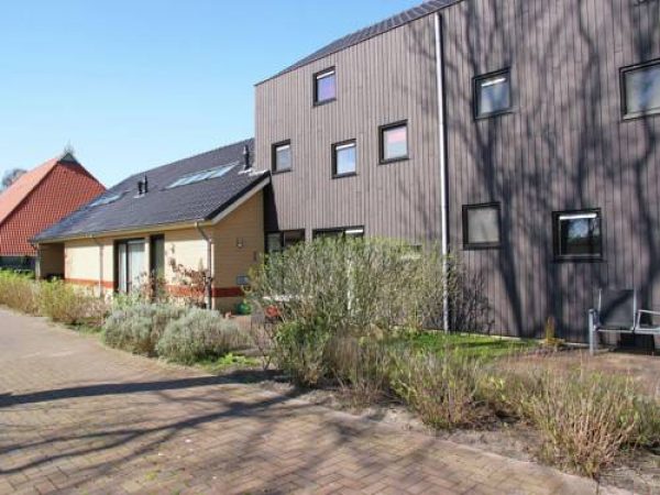 Holiday home Lyts Syspenstien II in Langweer