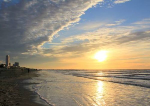 Seasight II in Zandvoort