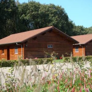 Chalet De Voetpomp in Boekel