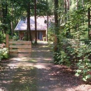 Logeerkamer in het Boshuis in Norg