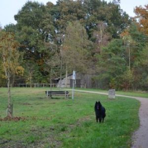 Olde Beusink in Winterswijk