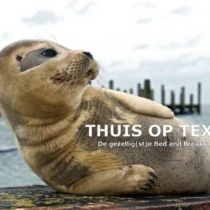 Thuis op Texel in Den Burg