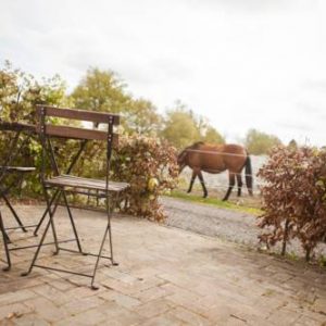 Bed & Breakfast de Bimdhoeve in De Bus