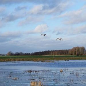 Het Tolhuis in Overschild