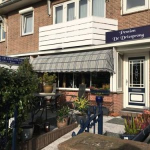 Pension de Driesprong in Noordwijk aan Zee