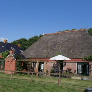 Blier Herne in Gorredijk