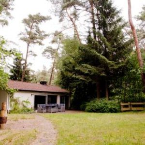 Lovely chalet in the woods in Baarn