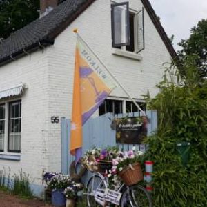 Theetuin Gebroeders van Lint in Ottoland