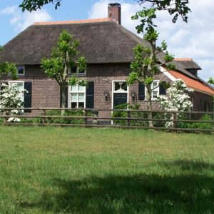 Bed and Breakfast Farmhouse de loksheuvel