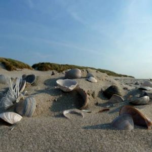 Buiten de Duinen in Buren