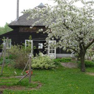 Cornucopia Cottage in Eck en Wiel