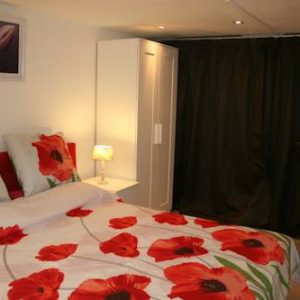 Cozy Suite on edge of Amsterdam/Amstelveen in Amstelveen