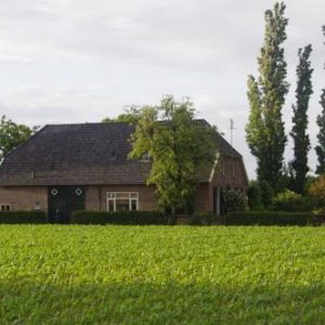 De Meesterbloem in Varsselder - Veldhunten