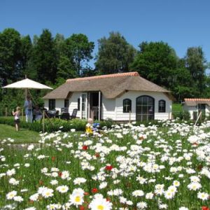 Farm-Logies near Leiden in Woubrugge