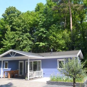 Holiday home Allurepark De Thijmse Berg 2 in Rhenen