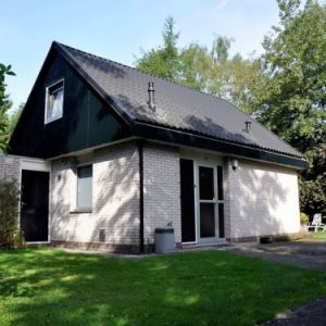 Holiday home Het Bosmeer 5 in Noordwolde