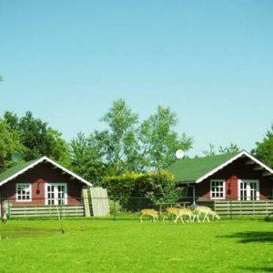 Chalet Sonneborghe in Kollumerzwaag