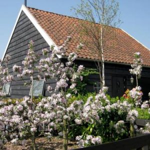 Holiday Home Polderzicht in Zuid-Beijerland