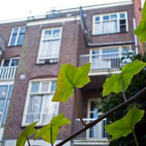 Amsterdam Hostel Annemarie in Amsterdam