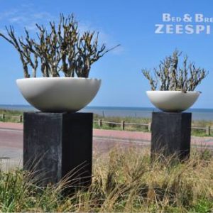 B&B Zeespiegel in Zandvoort