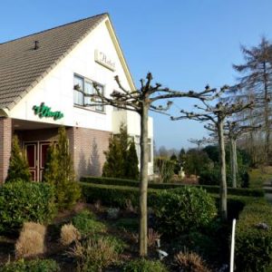 Hotel Restaurant Het Roode Hert in Dalfsen