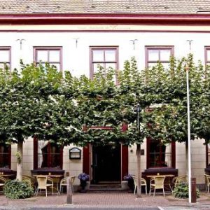 Hotel de Lantscroon in 's-Heerenberg