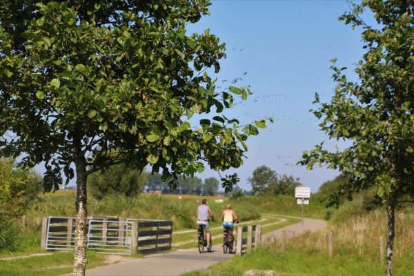 bb natuur zoetermeer